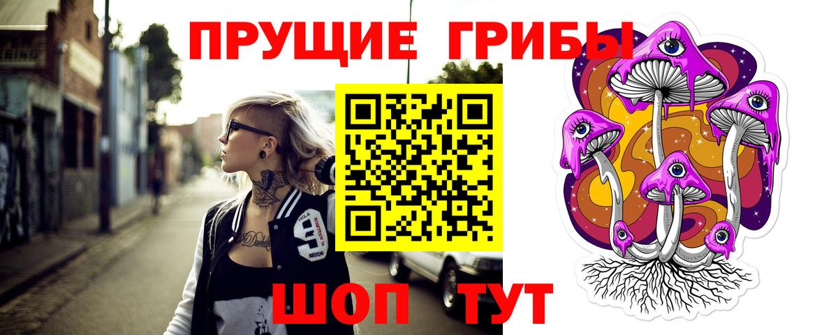 Нижнеудинск  Псилоцибиновые грибы Psilocybe  Вход с VPN 